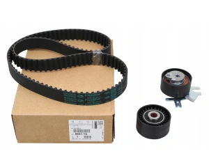 Hammasrihma komplekt OEM Citroen/Peugeot/Fiat 2,0HDI DW10BTED4