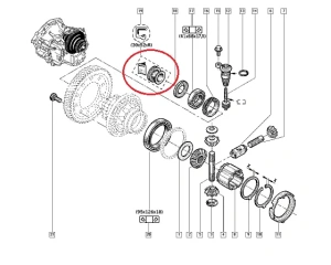 Veovõlli tihend parem OEM Renault PK5/PK6/PF6