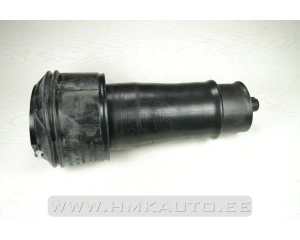 Rear axle air spring OEM Jumpy/Expert/Scudo 2007- (VAN)