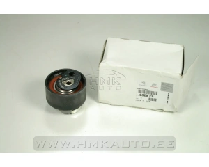 Натяжительный ролик зубчатого ремня OEM Citroen/Peugeot 2,7/3,0HDi DT17/DT20