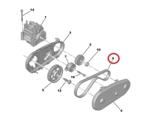 Polttoainepumpun hammashihna Citroen/Peugeot/Landrover/Jaguar 2,7HDI
