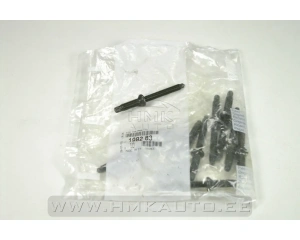 Suuttimen kiinnityspultti OEM Citroen/Peugeot 1,6HDI