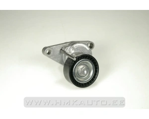 Натяжитель поликлинового ремня Peugeot/Citroen  1.1/1.4/1.6  00-