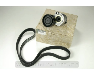 Mitmikkiilrihma komplekt OEM Renault /Dacia 1,4, 1,5DCI, 1,6