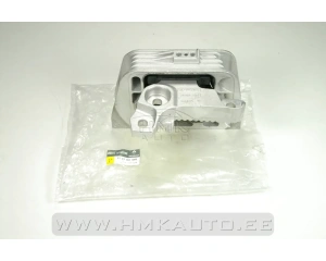 Mootoripadi parem OEM Renault Master 2,3DCI 2010-