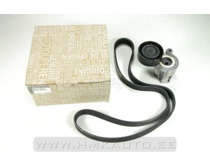 Multi-Ribbed V-Belt set OEM Renault 1,5Dci/1,6 16V