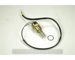 Kõrgsurvepumba magnetklapp Citroen/Peugeot/Renault 1,9D