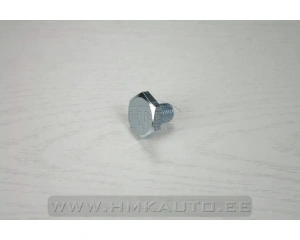 Öljyn tyhjennystulppa Citroen/Peugeot 10X1,25