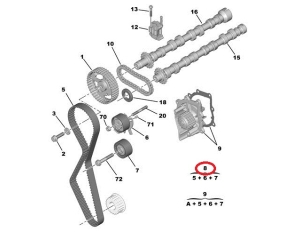Timing belt kit OEM Citroen/Peugeot 2,2HDI