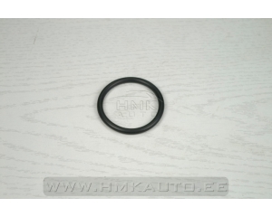 Intake o-ring seal Peugeot/Citroen 1,9D DW8