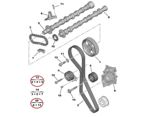 Timing belt kit + water pump OEM Peugeot/Citroen 2,0HDI