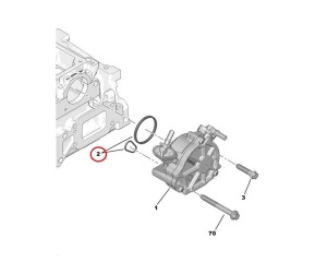 Vacuum pump seal Citroen/Peugeot 1,6HDi