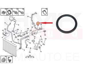 Joint torique, bride de liquide de refroidissement OEM Citroen/Peugeot 2,0HDi DW10  31x4,55