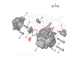 Injection pump gasket OEM Peugeot/Citroen 2,2HDi Euro5
