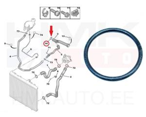 O-rõngastihend jahutusvedeliku torule OEM Citroen/Peugeot 1,6 EP6  35x3,35