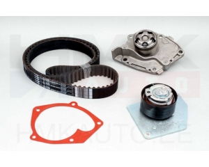 Timing belt kit + water pump OEM Renault Megane 1.9dCI