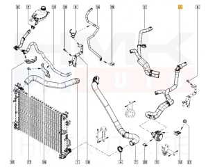 Coolant hose OEM Dacia