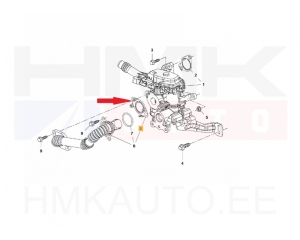 EGR valve gasket OEM Citroen/Peugeot 1,6HDI