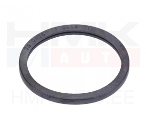 Thermostat seal OEM Jumper/Boxer/Ducato 2,8HDI 2001-