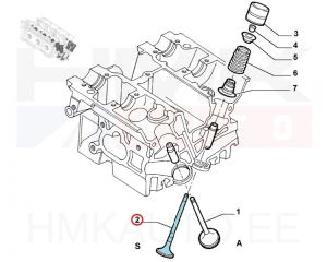 Exhaust valve OEM Citroen/Peugeot/Fiat 2,0 16V  EW10
