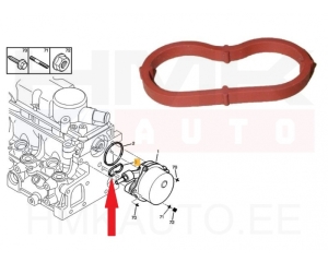 Vacuum pump seal OEM Citroen/Peugeot/Fiat 2,0HDi