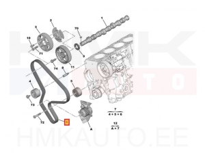 Timing belt OEM Citroen/Peugeot 2,0HDi 8V  DW10