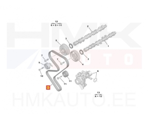 Toothed belt OEM Peugeot/Citroen 1,8-2,2 EW7/10/12