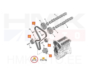 Pompe à eau + kit de courroie de distribution OEM Citroen/Peugeot 1.6 16v  -04