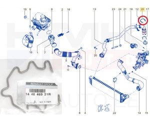 Скоба патрубки турбины OEM Renault Master 2,3DCI 2014-