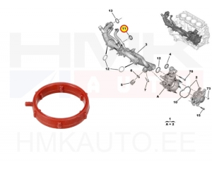 O-rõngastihend jahutusvedeliku torule OEM Citroen/Peugeot 1,5BlueHDI DV5R