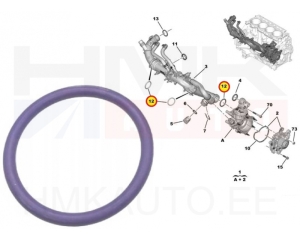 Joint torique pour tuyau de liquide de refroidissement OEM Citroen/Peugeot 1,5BlueHDI DV5R