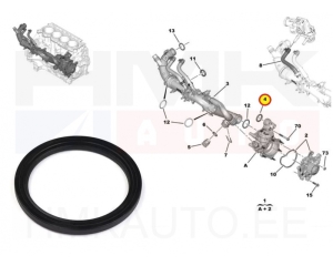 O-ring for coolant pipe OEM Citroen/Peugeot 1,5BlueHDI DV5R