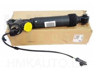 Rear suspension cylinder OEM Citroen C6