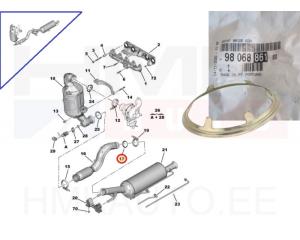 Exhaust pipe gasket OEM Citroen/Peugeot 1,6HDi