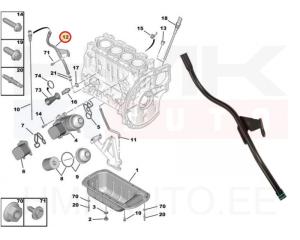 Õlivarda toru Citroen/Peugeot 1,6HDI