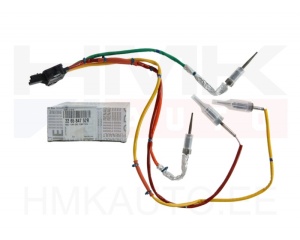 Väljalaskegaaside temperatuuri andurite komplekt OEM Renault 2,0dCi