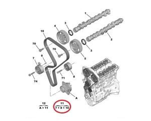 Комплект зубчатого ремня OEM Citroen/Peugeot 1,6 16v  04-  TU5JP4/EC5