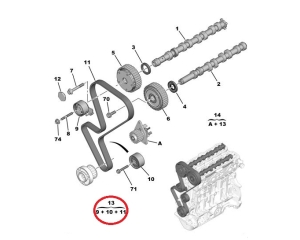 Hammasrihma komplekt OEM Peugeot/Citroen 1,4 16V