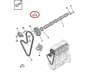Timing belt kit OEM Citroen/Peugeot 1,1i TU1JP/TU1A