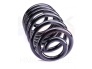 Coil spring , rear Trafic/Vivaro/Primastar 2001-2014