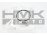 Vacuum pump sealing ring OEM Citroen/Peugeot 1,6HDi