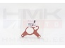 Vacuum pump gasket OEM Citroen/Peugeot 2,0HDi