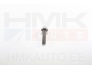 Boulon poulie de vilebrequin OEM Renault 1,6/2,0/2,3DCI (M16X150-64)